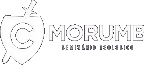 Morumbi Seminário Teológico